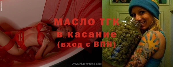 2c-b Горно-Алтайск