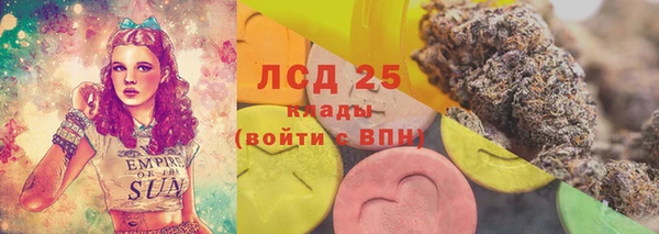 2c-b Горно-Алтайск