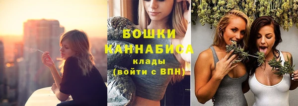 метадон Горняк