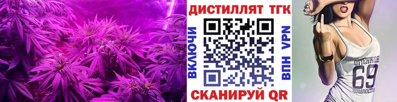 Купить закладки  Карабаново  ТГК гашишное масло 